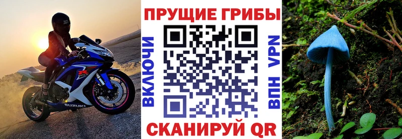 наркошоп  Куйбышев  кракен ТОР  Псилоцибиновые грибы Cubensis 